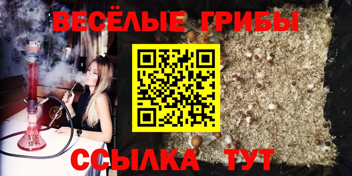 Галлюциногенные грибы MAGIC MUSHROOMS  Вход с VPN  Волжск 