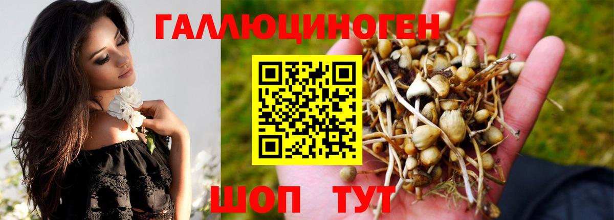 Псилоцибиновые грибы ЛСД Волжск